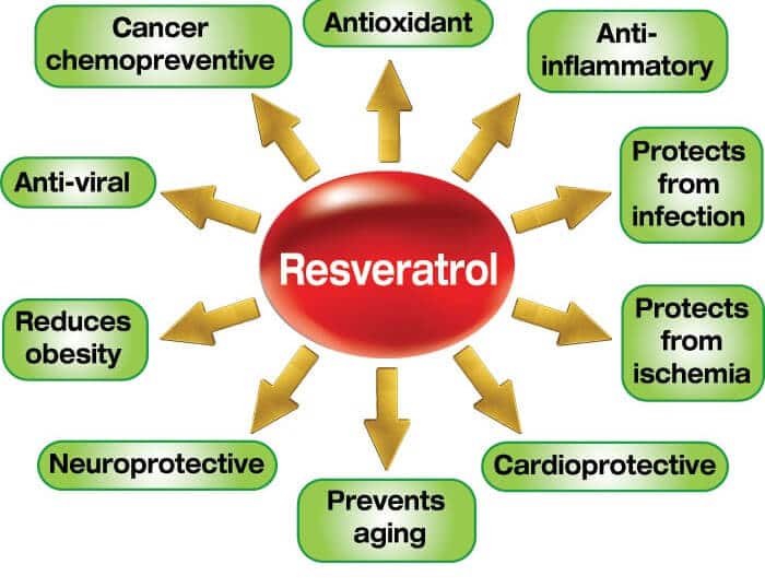 Ketahui Kelebihan Resveratrol Terhadap Kesihatan